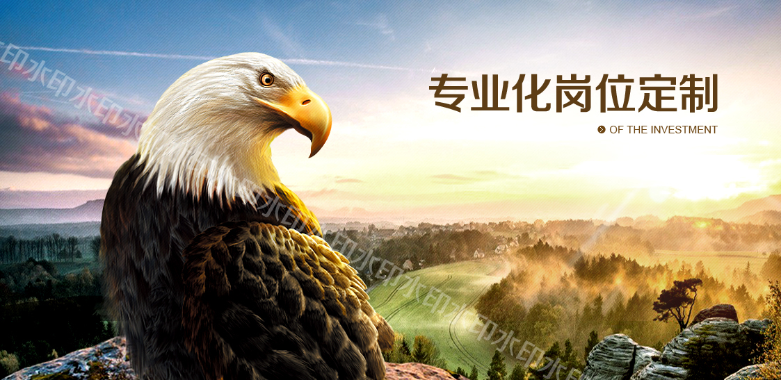 南平经贸在线